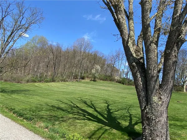 a big yard with lots of green space