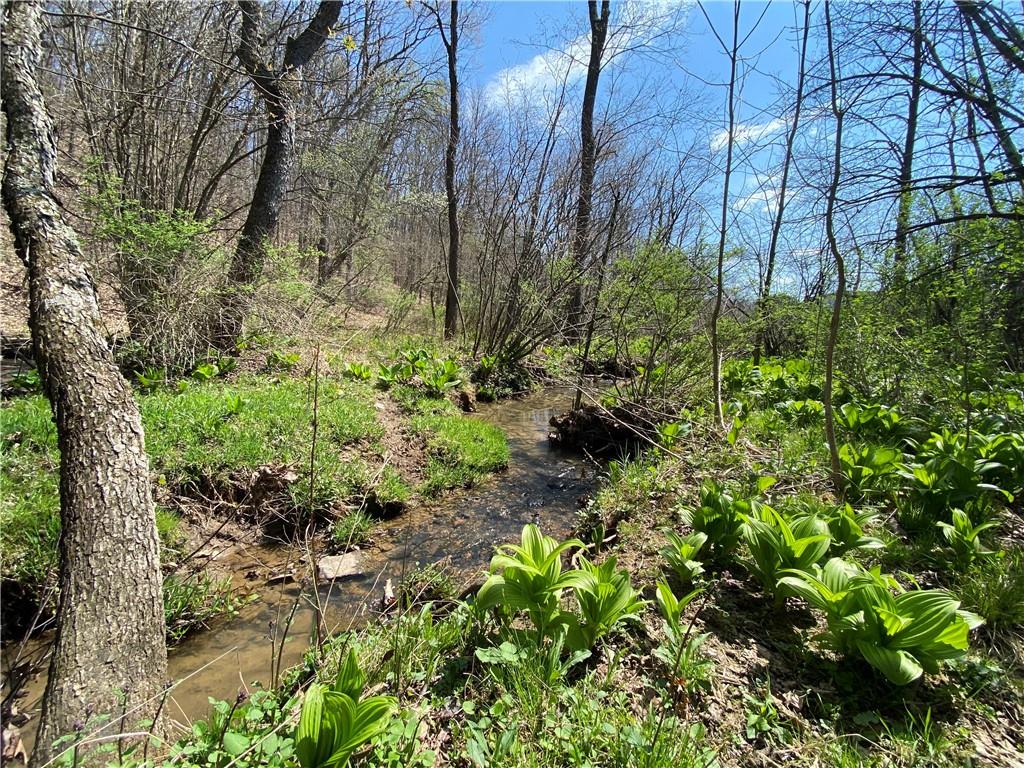 226 Kime Road Rural Valley, PA 16249 - Photo 4 of 17 a plant that is in a garden