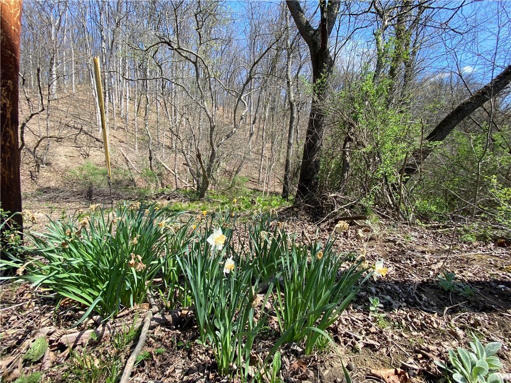 226 Kime Road Rural Valley, PA 16249 - Photo 5 of 17 a backyard of a house with lots of green space