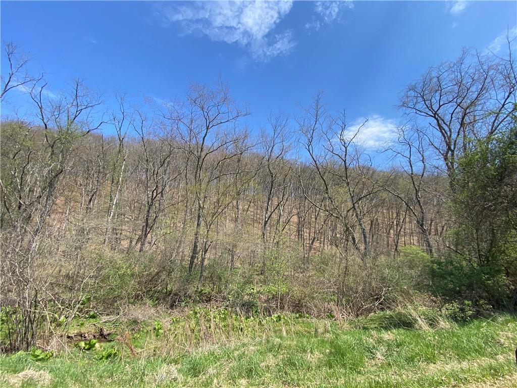 226 Kime Road Rural Valley, PA 16249 - Photo 6 of 17 a view of a yard