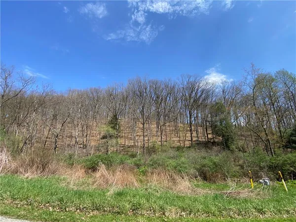 a view of a yard with a house in background