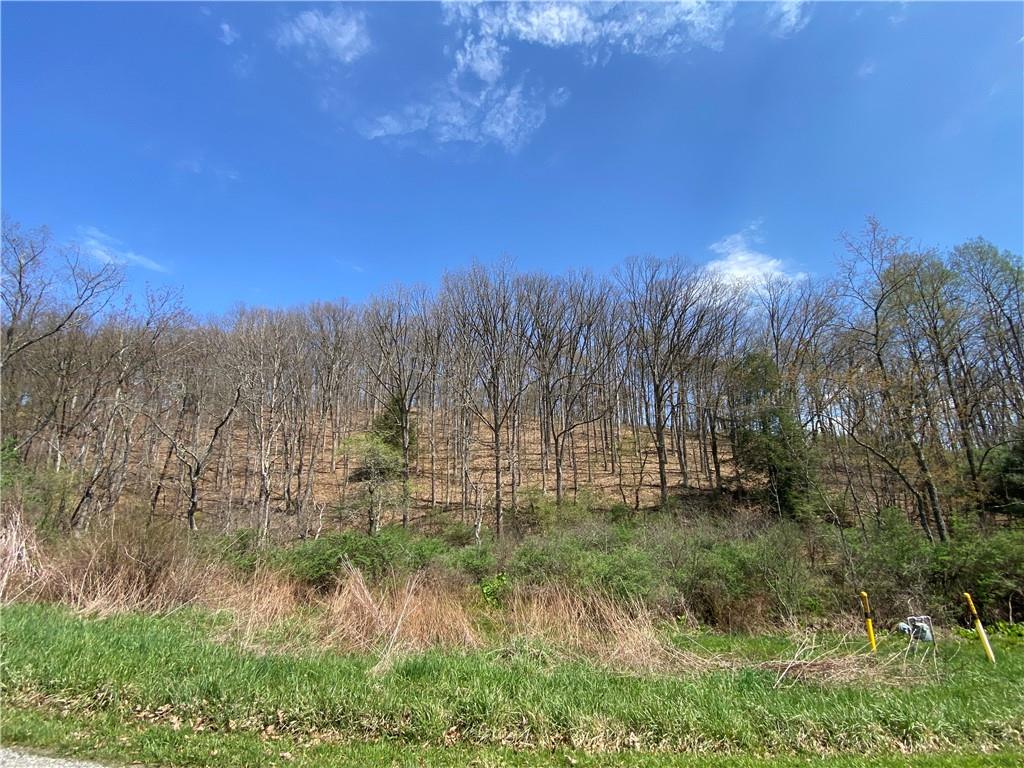 226 Kime Road Rural Valley, PA 16249 - Photo 7 of 17 a view of a yard with a house in background