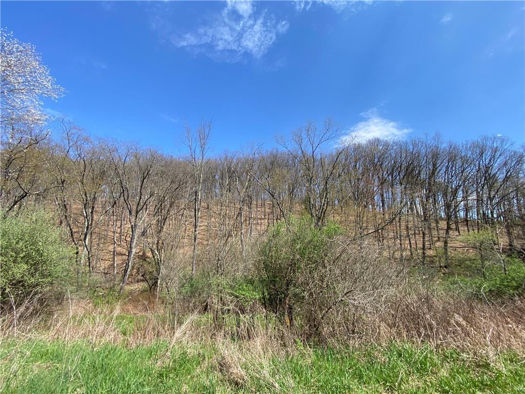 226 Kime Road Rural Valley, PA 16249 - Photo 8 of 17 a view of a yard with a tree