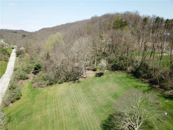 a view of a yard with a tree