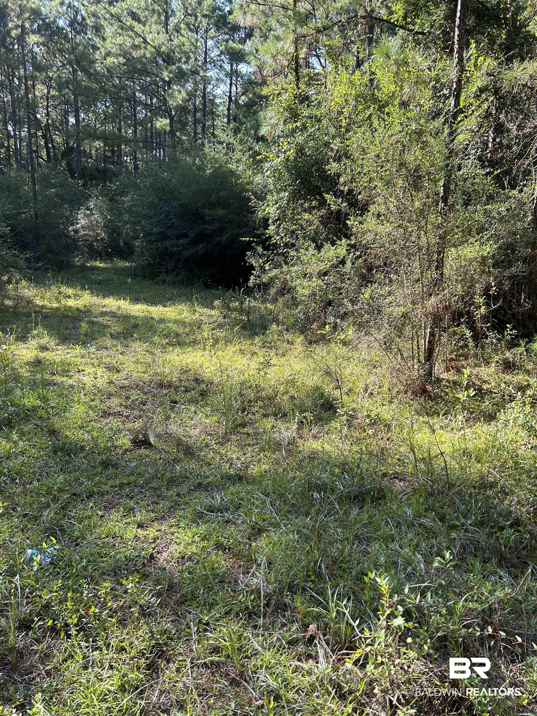0 Quinley Road Bay Minette, AL 36507 - Photo 5 of 6