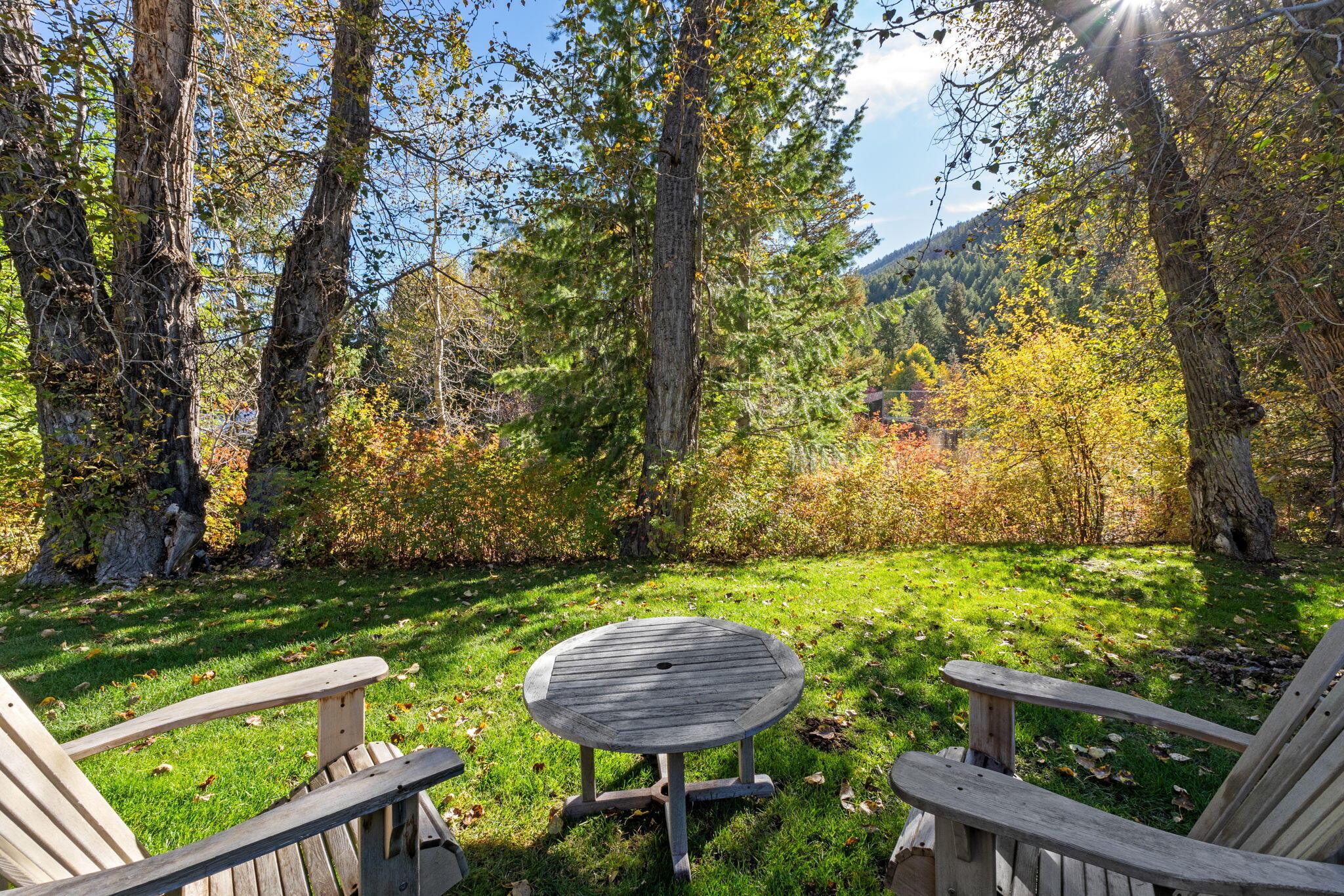 321 Georginia Road, Unit 1 Ketchum, ID 83340 - Photo 37 of 45 Backyard overlooking Warm Springs Creek