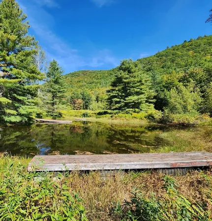 a view of lake