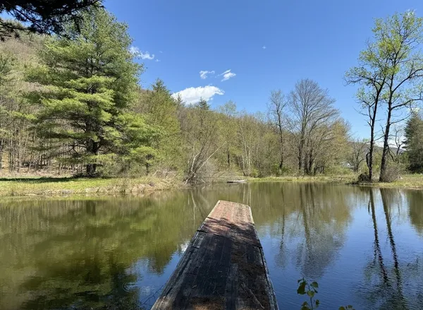 a picture of a bench in the back