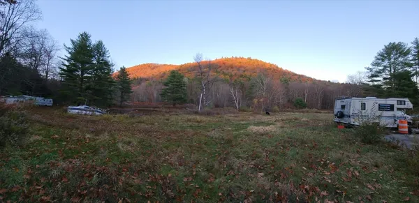 a view of dirt yard with a large tree