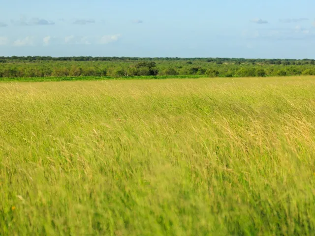 $5,390,000 | 3388 Cr 3388 Melvin Tx 76858, Unit 1&2, Melvin, TX 76858