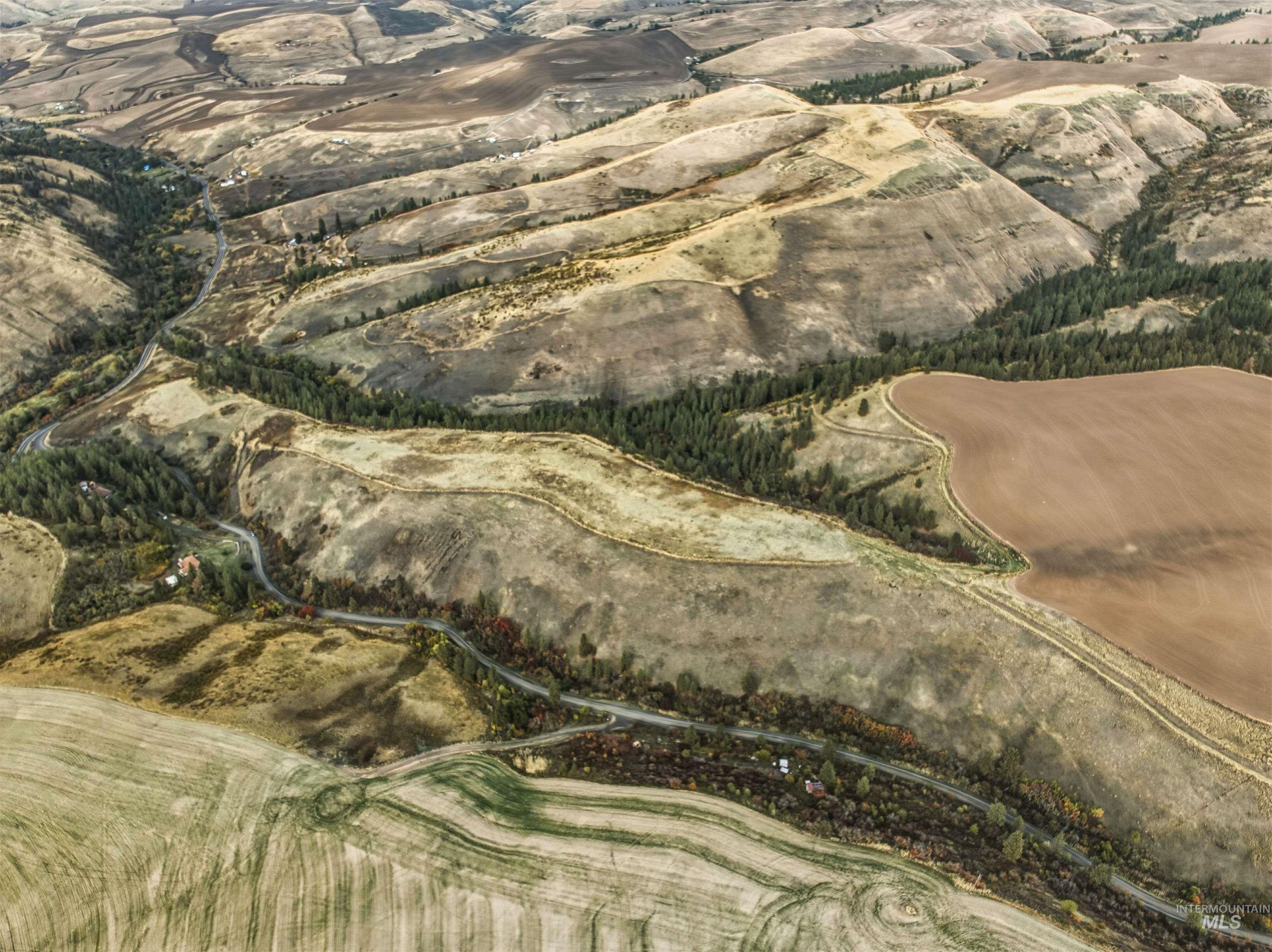 Tbd Tbd Kettenbach Grade Culdesac, ID 83524 - Photo 1 of 26 View of property location