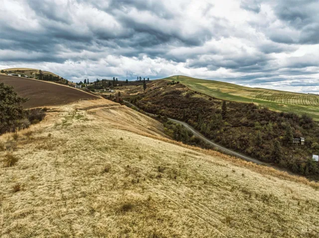 $550,000 | Tbd Tbd Kettenbach Grade, Culdesac, ID 83524