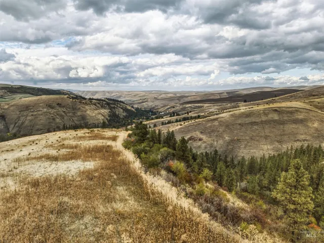 $550,000 | Tbd Tbd Kettenbach Grade, Culdesac, ID 83524