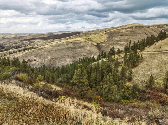 $550,000 | Tbd Tbd Kettenbach Grade, Culdesac, ID 83524
