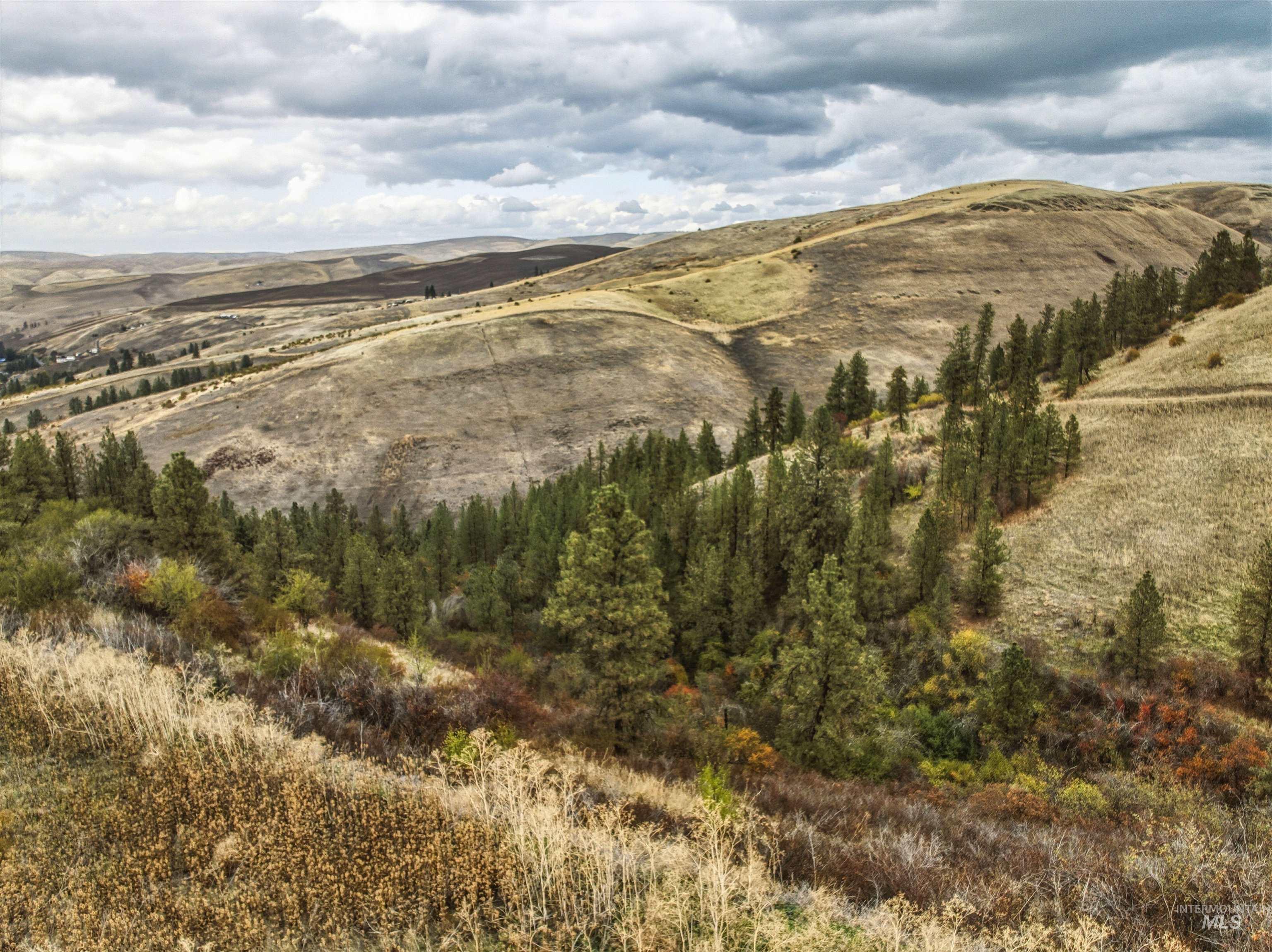 Tbd Tbd Kettenbach Grade Culdesac, ID 83524 - Photo 20 of 26 Mountain view