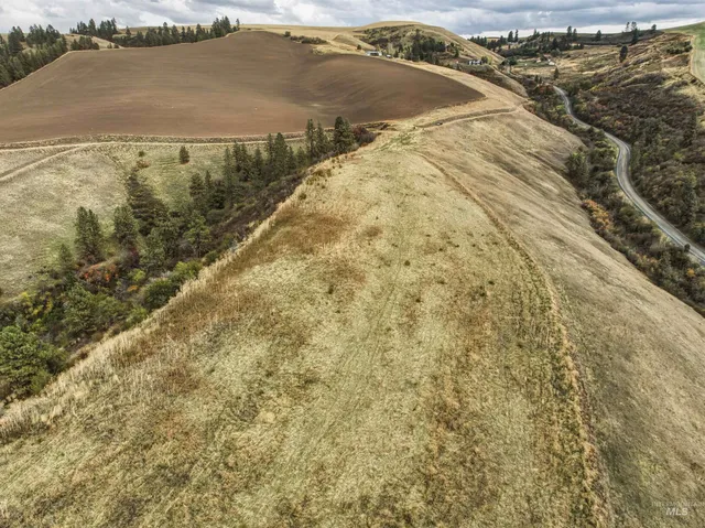 $550,000 | Tbd Tbd Kettenbach Grade, Culdesac, ID 83524