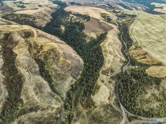 $550,000 | Tbd Tbd Kettenbach Grade, Culdesac, ID 83524