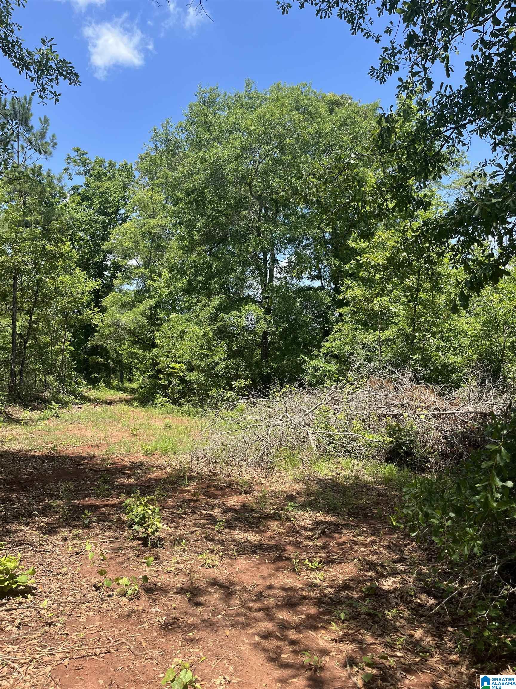 385 Carr Road Alpine, AL 35014 - Photo 7 of 7