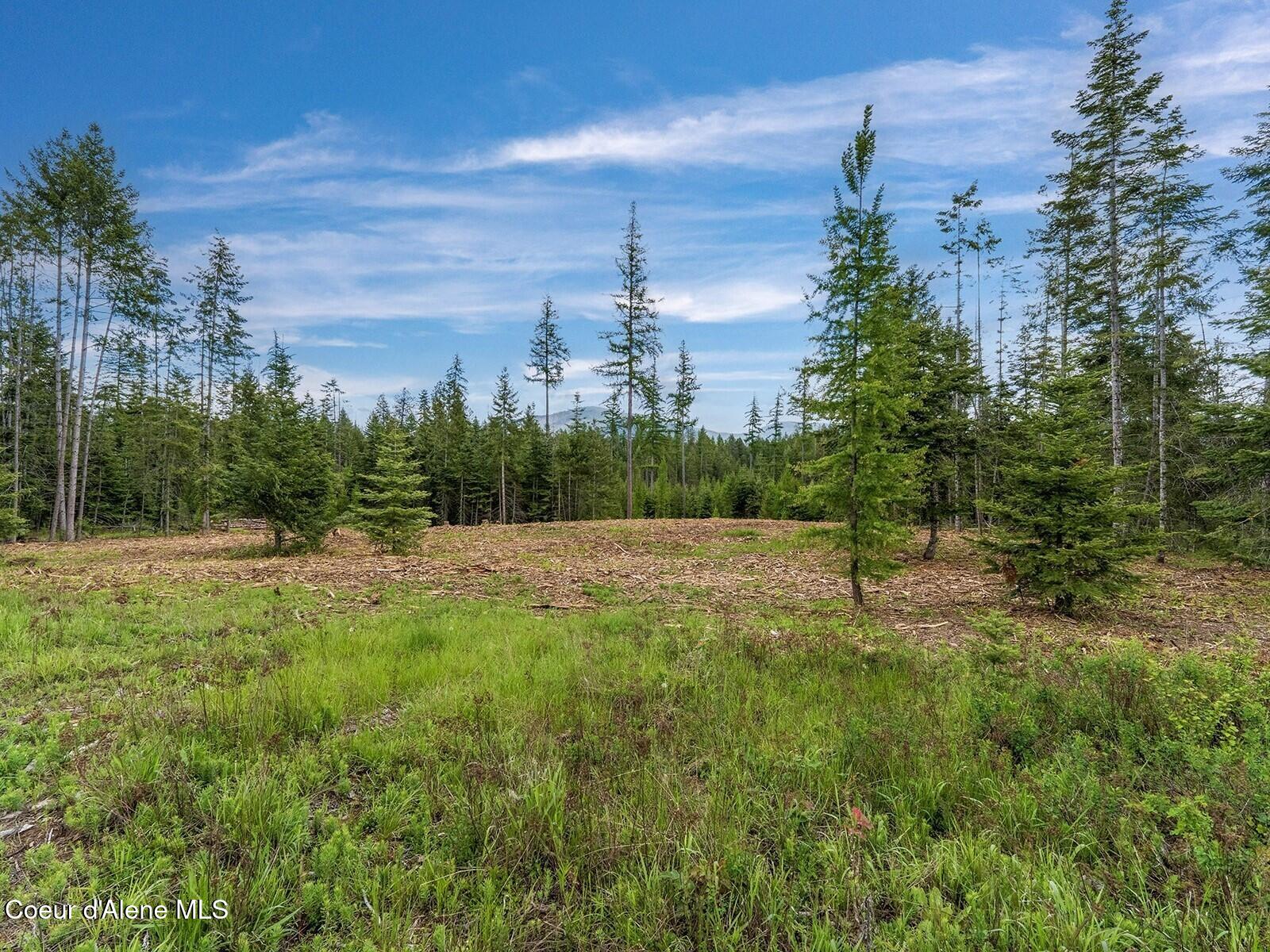 1 Leonard Loop Athol, ID 83801 - Photo 22 of 24 More mid lot images