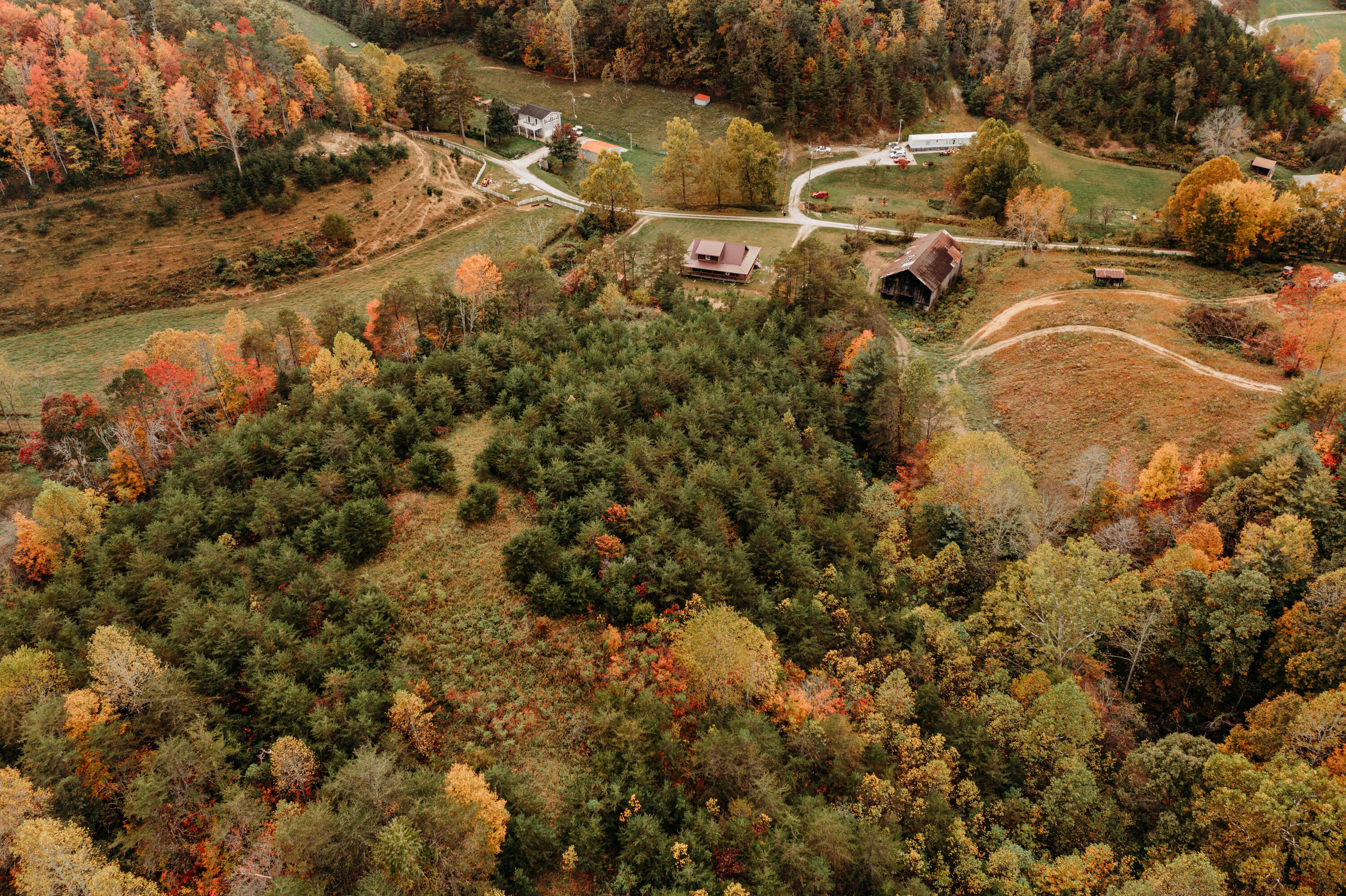 129 Strong Branch Road Hazel Green, KY 41332 - Photo 4 of 33 DJI_0237