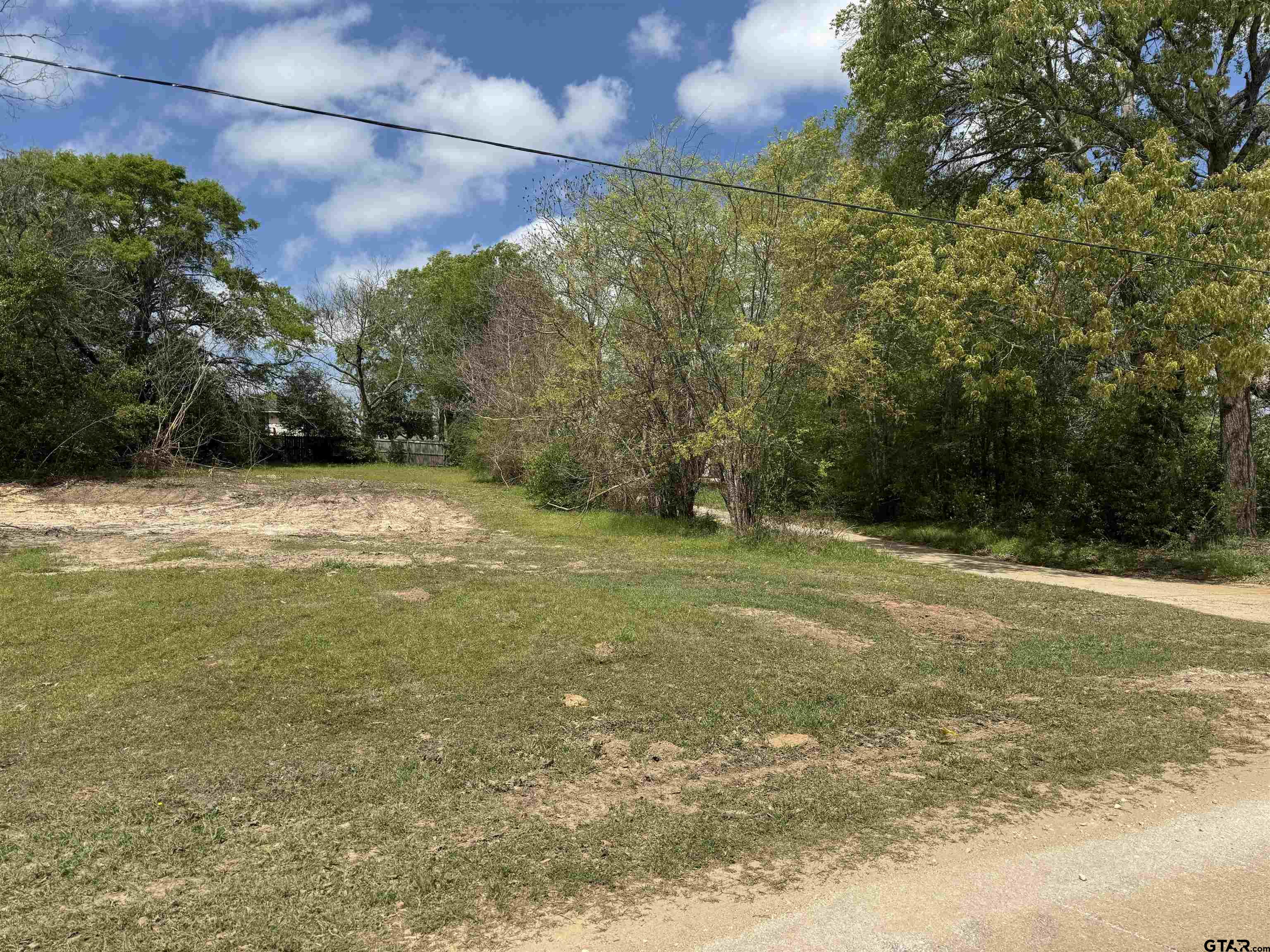 207 East Front Street Arp, TX 75750 - Photo 5 of 8 a view of a yard with a house