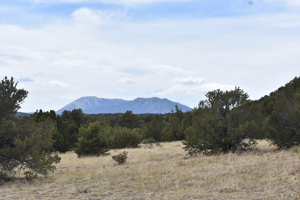 87-119 Twin Lakes Road Walsenburg, CO 81089 - Photo 7 of 21