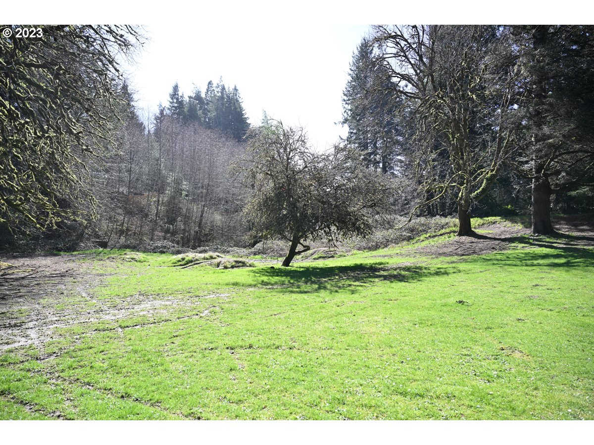 62735 Olive Barber Road Coos Bay, OR 97420 - Photo 33 of 41 Gallery Image 33