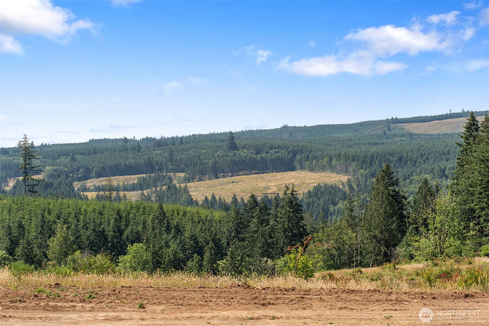 597 Brown Road East Chehalis, WA 98532 - Photo 4 of 19