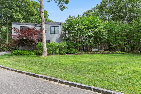a view of a backyard with plants and large trees