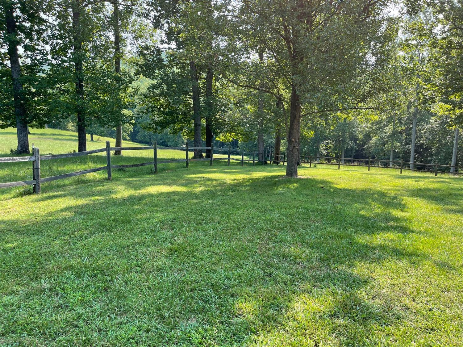 755 Bearfield Road Amherst, VA 24521 - Photo 8 of 98 a view of a park with a tree