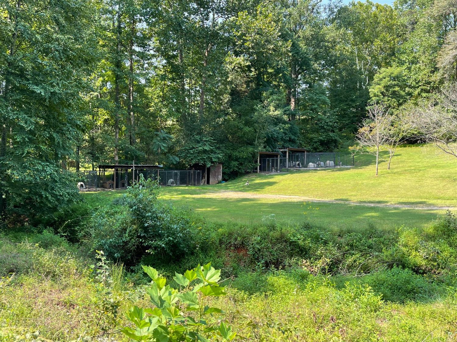 755 Bearfield Road Amherst, VA 24521 - Photo 82 of 98 a view of a swimming pool with a garden