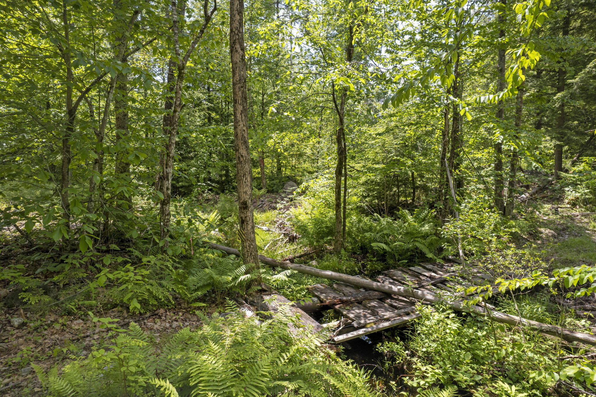 166 Libby Road Newfield, ME 04095 - Photo 4 of 19 3-web-or-mls-DJI_0340