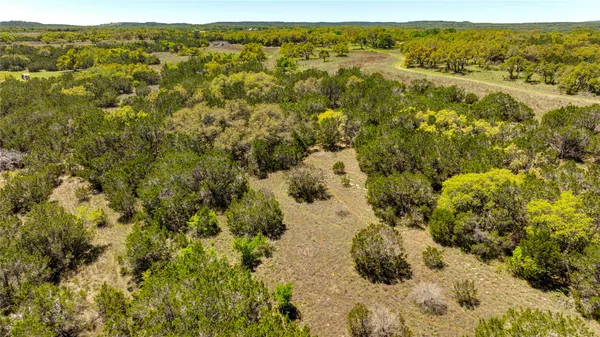 a view of a forest with an outdoor space