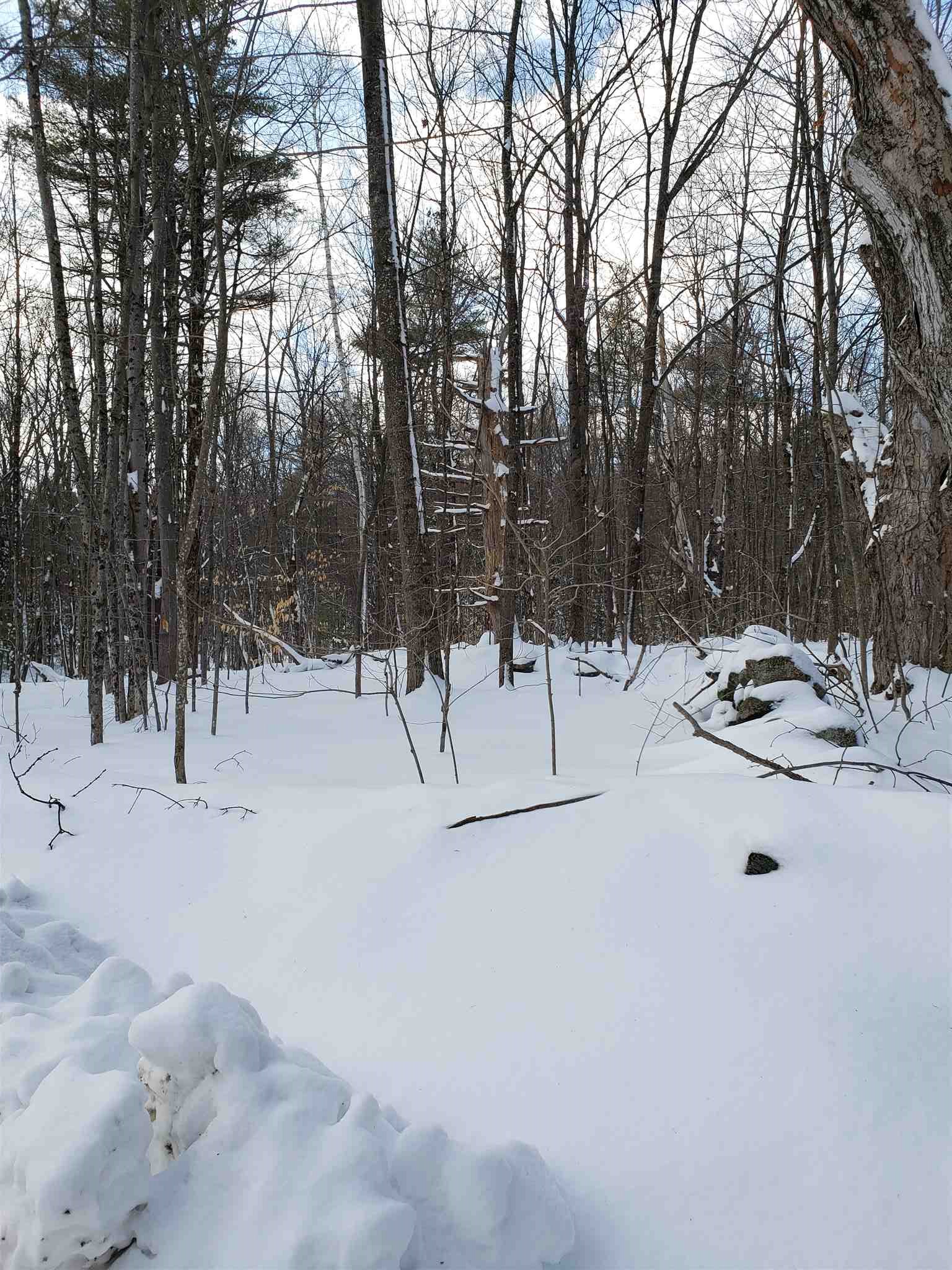 Rangeway Road Deering, NH 03244 - Photo 2 of 5
