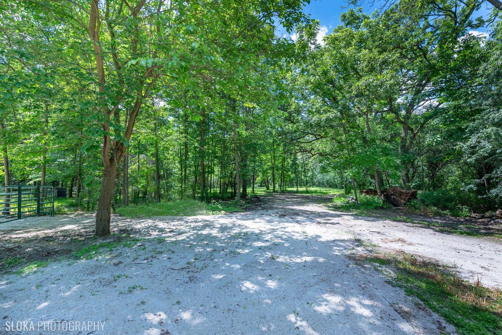 7812 East Tryon Grove Road Richmond, IL 60071 - Photo 45 of 55 a view of a forest with trees in the background