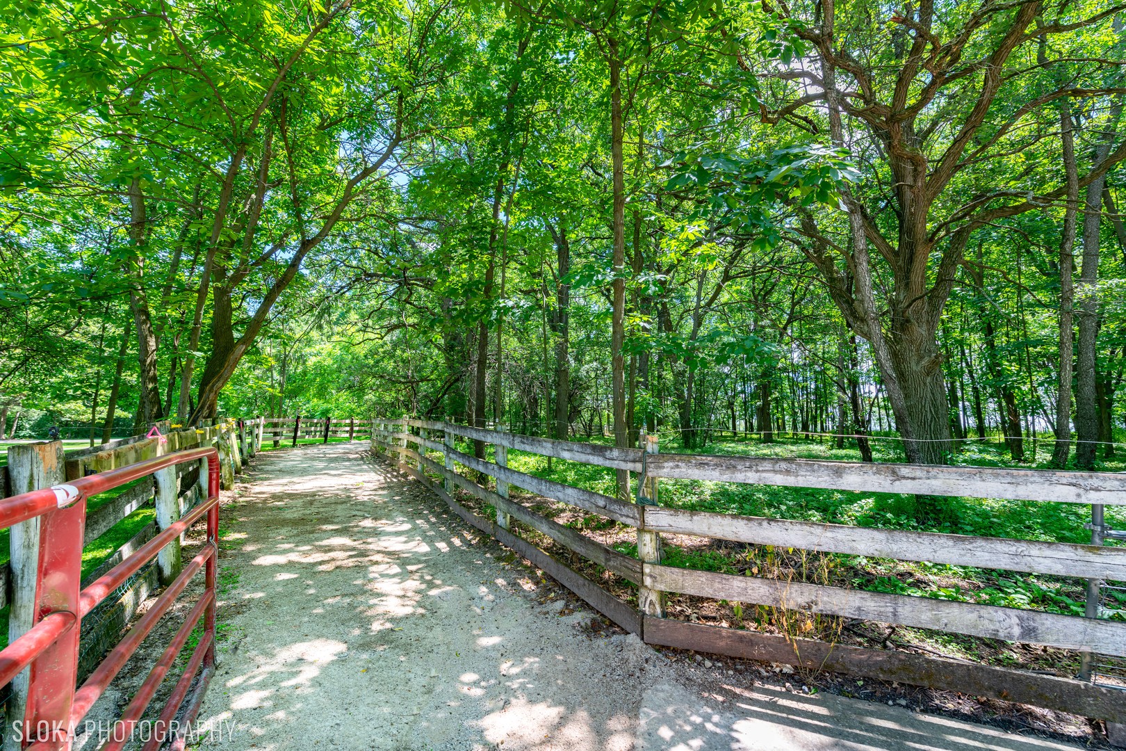 7812 East Tryon Grove Road Richmond, IL 60071 - Photo 46 of 55 a view of park with large trees