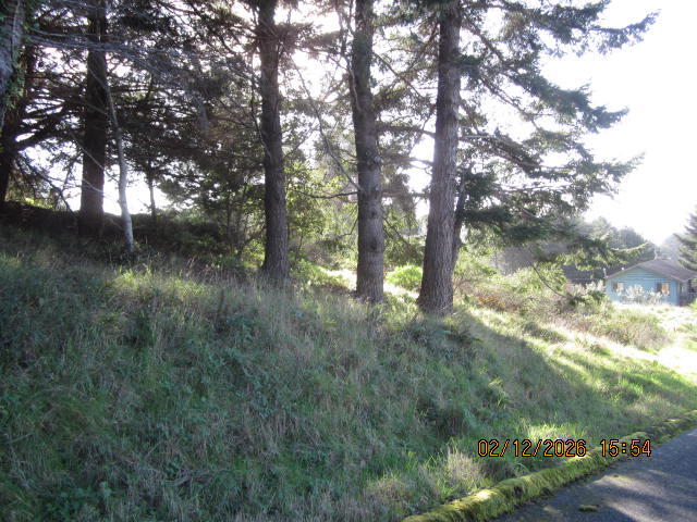 576 Ridge Road Shelter Cove, CA 95589 - Photo 20 of 22 Front left