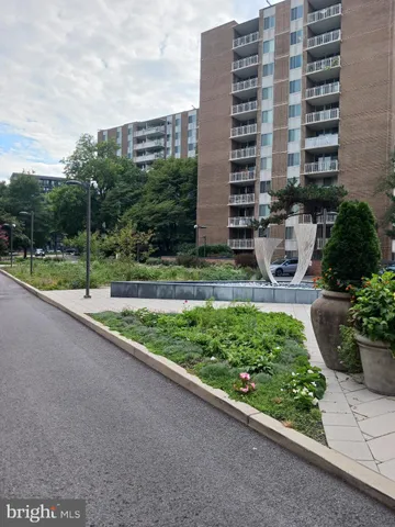 a view of a tall building from a yard