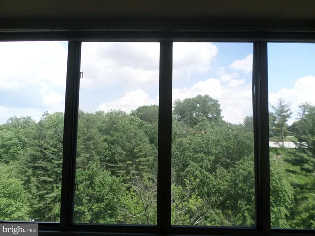 a view of a garden from a window