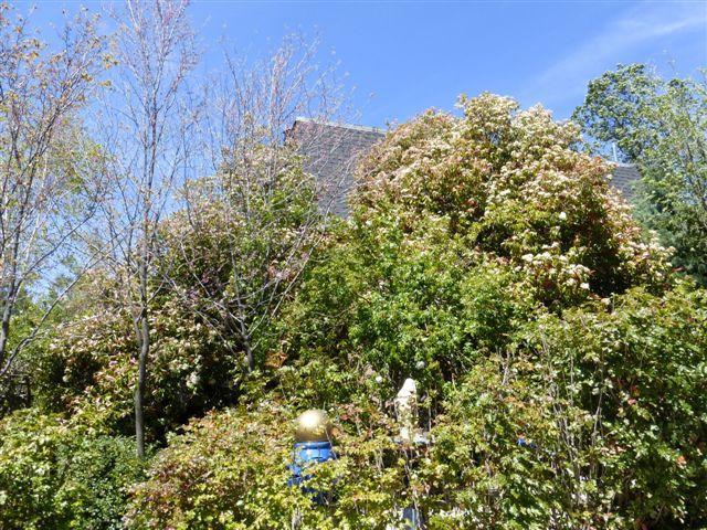 29581 North Lower Valley Road Tehachapi, CA 93561 - Photo 12 of 29 Gallery Image 12