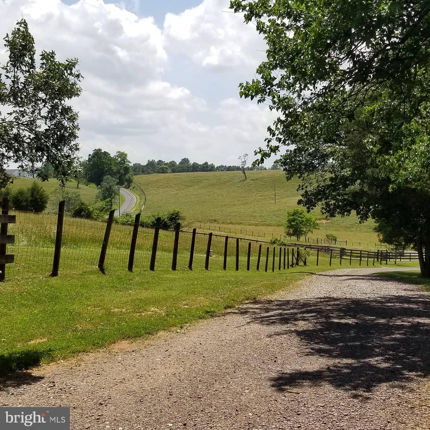 80 Rudasill Mill Road Woodville, VA 22749 - Photo 20 of 27 Drive Way off of main road.