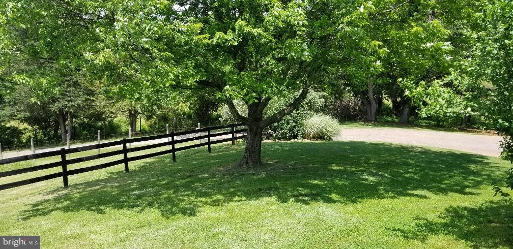 80 Rudasill Mill Road Woodville, VA 22749 - Photo 21 of 27 Side View of Driveway and Parking