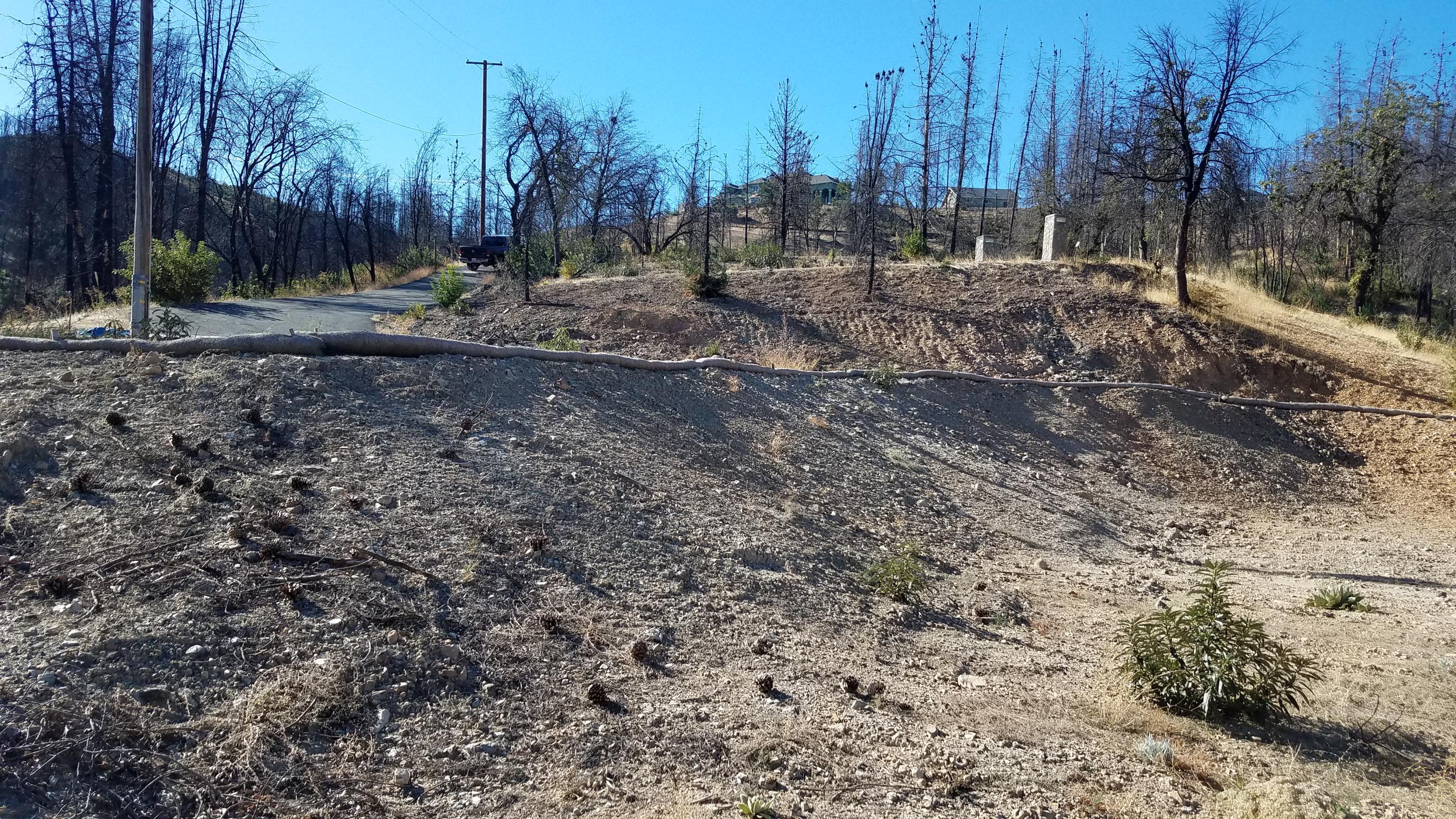 11177 Muletown Road Shasta, CA 96001 - Photo 6 of 6 mule town 6