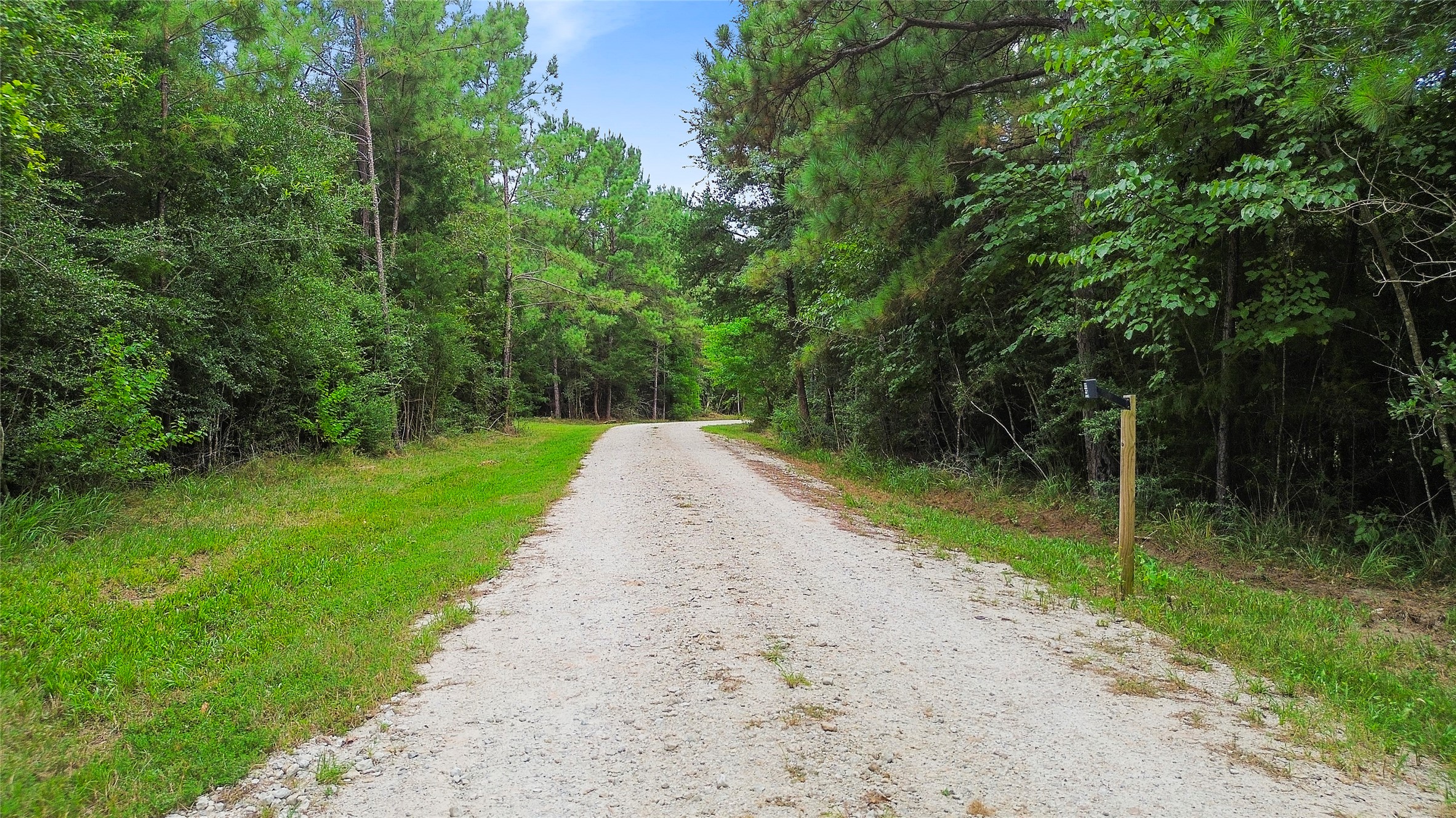 Tbd Big Woods Road New Waverly, TX 77358 - Photo 4 of 11 a view of a road with a yard