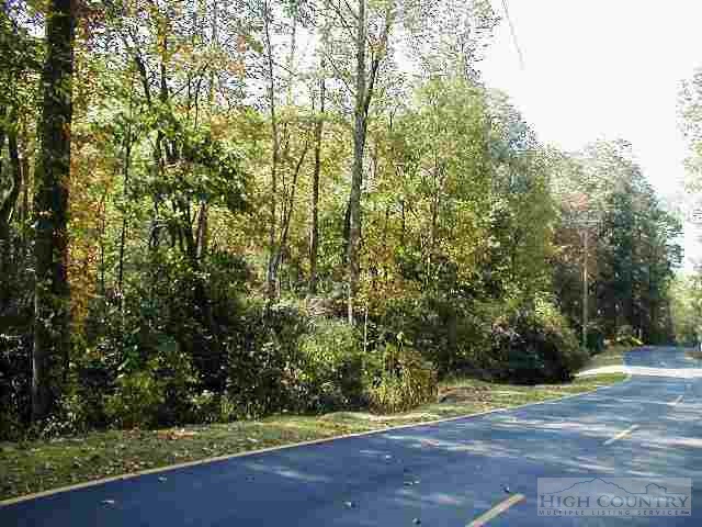 0 Evergreen Lane Boone, NC 28607 - Photo 1 of 1 Gallery Image 1
