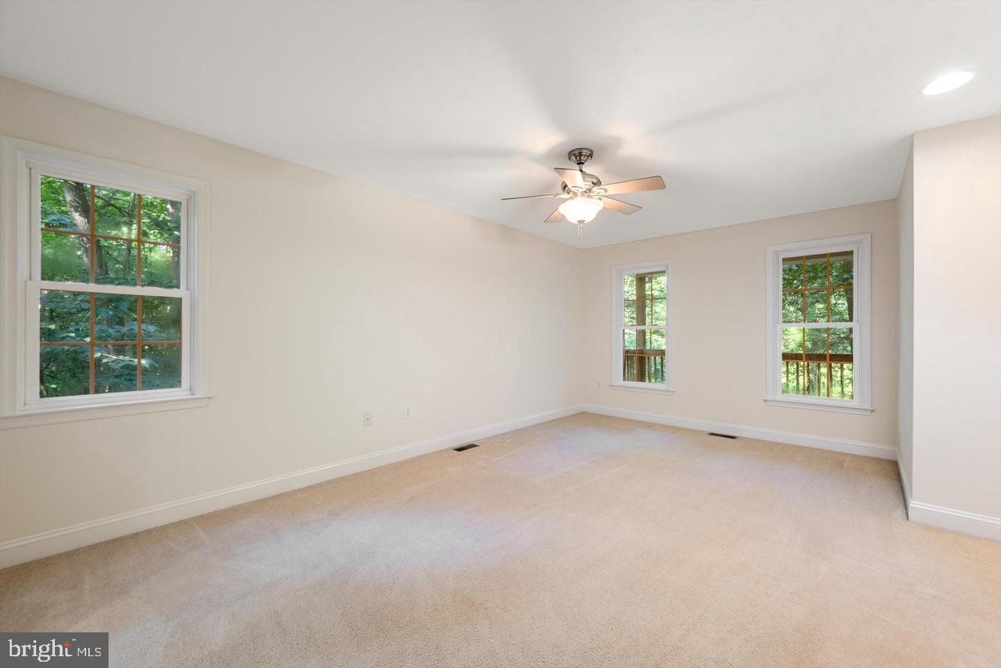 175 Easy Hollow Road Front Royal, VA 22630 - Photo 12 of 28 Main level primary suite