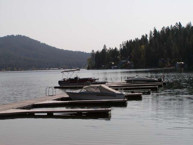41950 Theo Road Loon Lake, WA 99148 - Photo 3 of 9 Gallery Image 3
