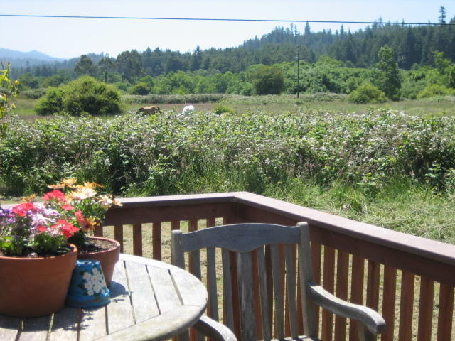 1196 Freshwater Road Eureka, CA 95503 - Photo 2 of 10