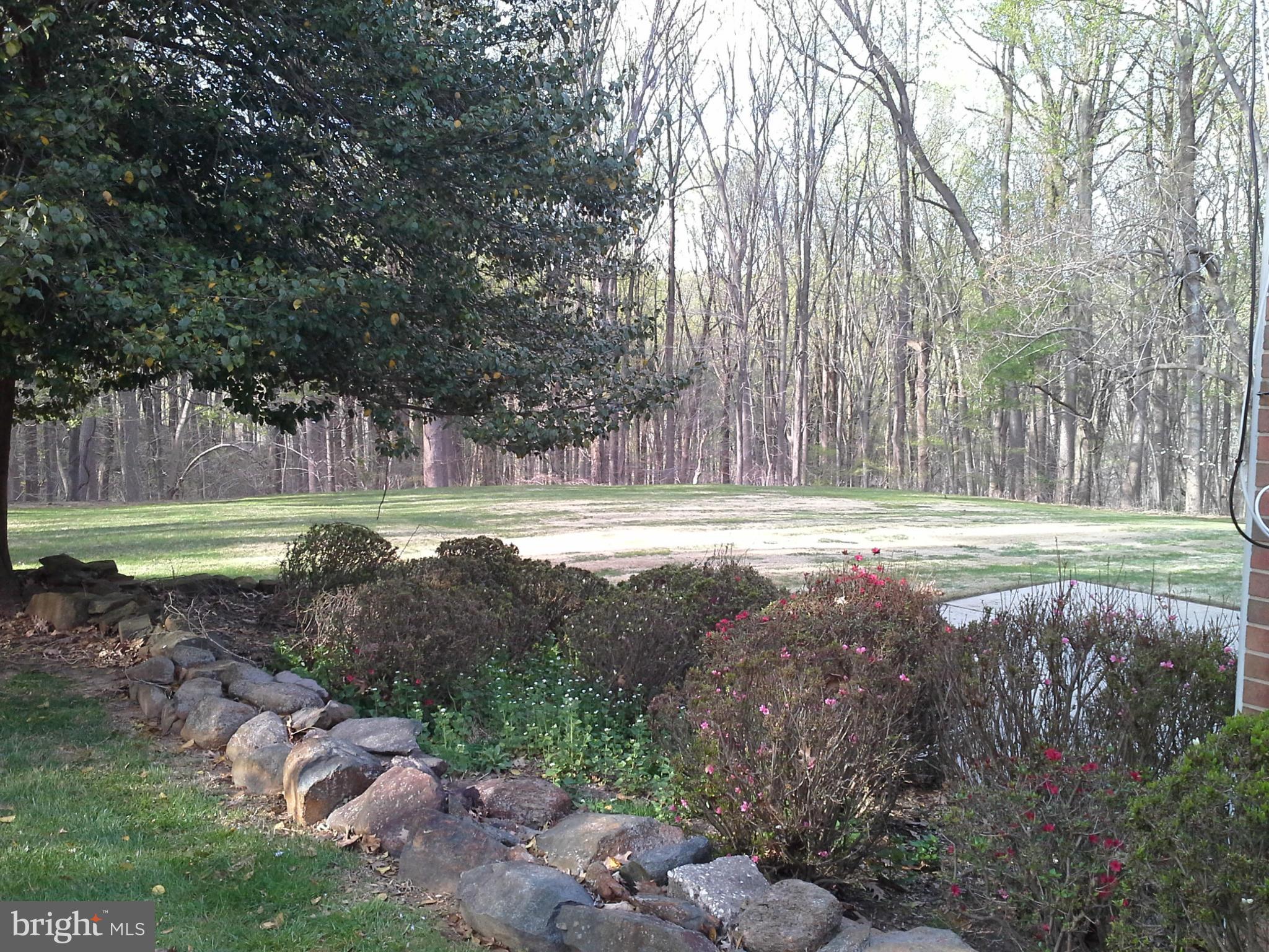 9912 Fox Hill Road Perry Hall, MD 21128 - Photo 3 of 26 a view of a park with large trees