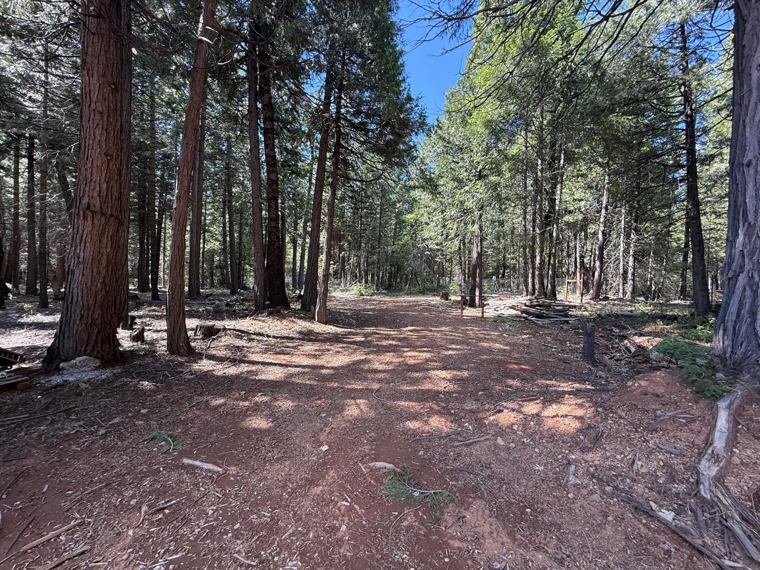 14940 Chalk Bluff Road Nevada City, CA 95959 - Photo 12 of 29 a view of outdoor space with trees